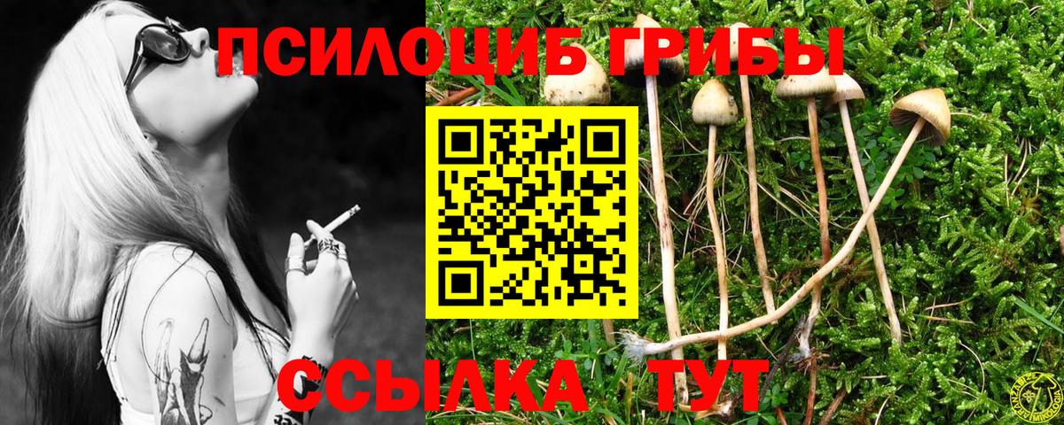 Галлюциногенные грибы Cubensis  Галлюциногенные грибы прущие грибы  Вход с VPN  Саров 
